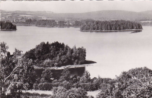 CARTE POSTALE CPSM NOIR & BLANC / LE LAC DES SETTONS LES ILES