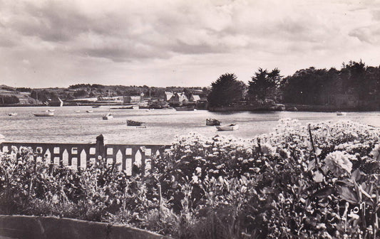 CPSM BLACK &amp; WHITE POSTCARD PLOUMANAC'H LE PORT 