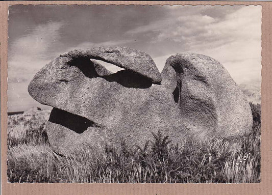 CPSM BLACK &amp; WHITE POSTCARD / PLOUMANAC'H EN PERROS GUIREC THE RABBIT 