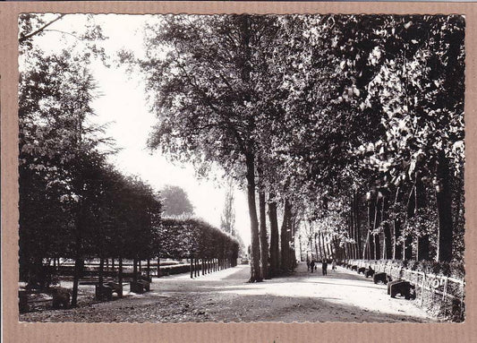 CARTE POSTALE CPSM NOIR & BLANC / BOURGES LE JARDIN DES PRES-FICHAUX
