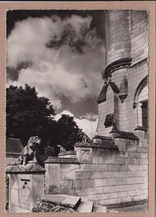 CPSM BLACK &amp; WHITE POSTCARD / LOCHES ROYAL PALACE GUARD DOGS 