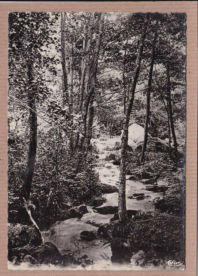 CPSM BLACK &amp; WHITE POSTCARD / CHATEAU-CHINON ROCKS ON THE YONNE 