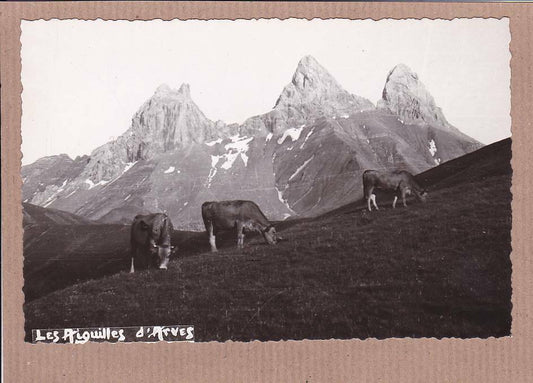 CPSM BLACK &amp; WHITE POSTCARD / THE ARVES NEEDLES 