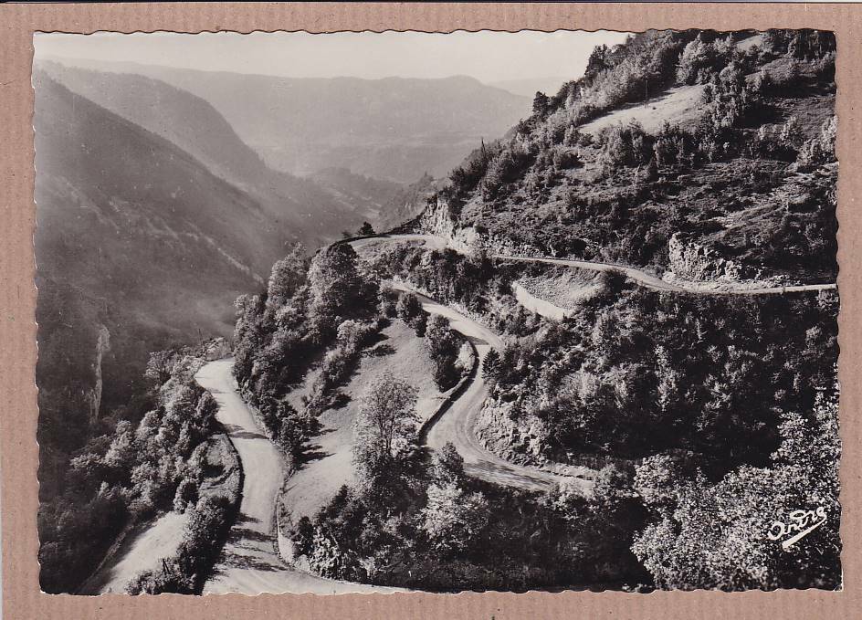 CPSM BLACK &amp; WHITE POSTCARD / SURROUNDINGS OF GEX ROUTE DE LA FAUCILLE (1965) 