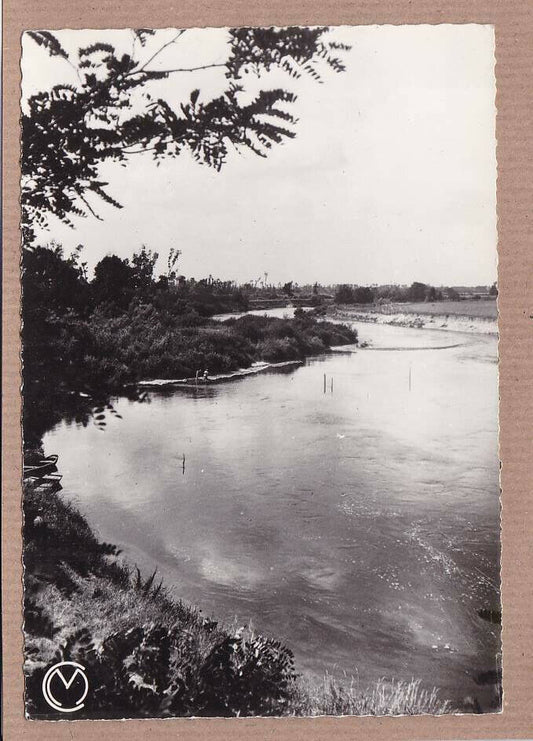 CPSM BLACK &amp; WHITE POSTCARD / SURROUNDINGS OF SENS THE BANKS OF THE YONNE 