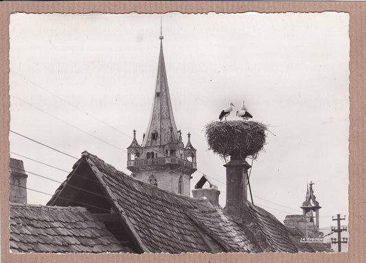 CPSM BLACK &amp; WHITE POSTCARD / OBERNAI STORK'S NEST (1955) 