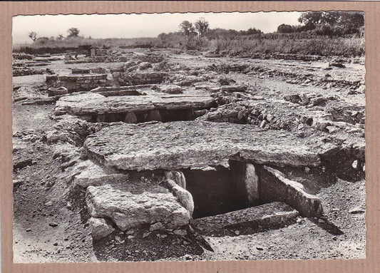 CPSM BLACK &amp; WHITE POSTCARD / ALESIA EXCAVATIONS ALISE-SAINTE REINE FOURS 
