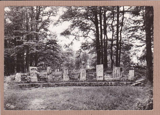 CARTE POSTALE CPSM NOIR & BLANC / LE DONON STELES FOUILLES (1954)