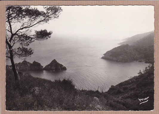 CARTE POSTALE CPSM NOIR & BLANC / PORT-CROS VUE PRISE DE LA VIGIE VAR