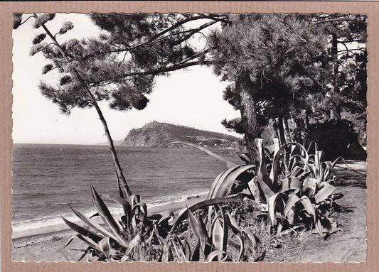 CARTE POSTALE CPSM NOIR & BLANC / PRAMOUSQUIER VILLAGE DE VACANCES DU T.C.F.