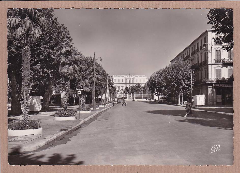 CARTE POSTALE CPSM NOIR & BLANC / DRAGUIGNAN BOULEVARD GEORGES CLEMENCEAU