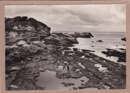 CPSM BLACK &amp; WHITE POSTCARD / BIARRITZ THE FISHERMEN'S PORT AT LOW TIDE 