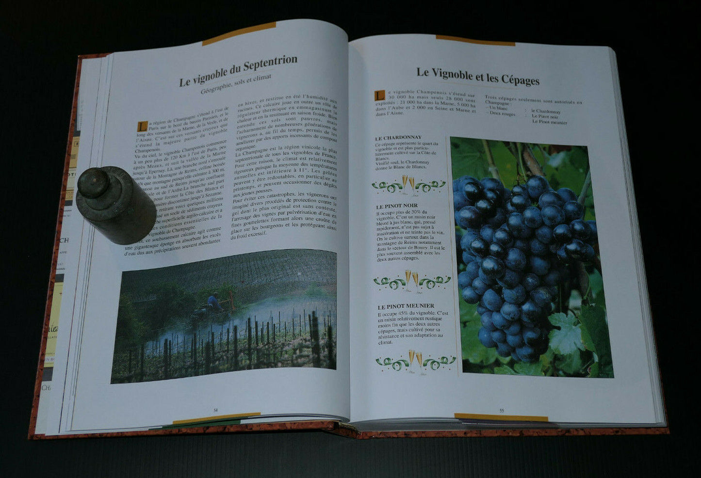 TOUT SAVOIR SUR LE VIN / OENOLOGIE / COMPTOIR DU LIVRE 1994