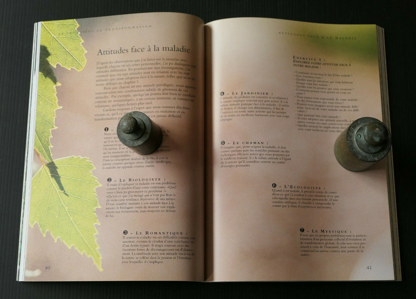 L'ENERGIE DES ARBRES / PATRICE BOUCHARDON / ENERGIE NATURE SPIRITUALITE