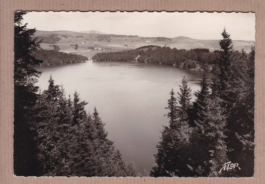 CARTE POSTALE CPSM NOIR & BLANC / L'AUVERGNE LE LAC PAVIN