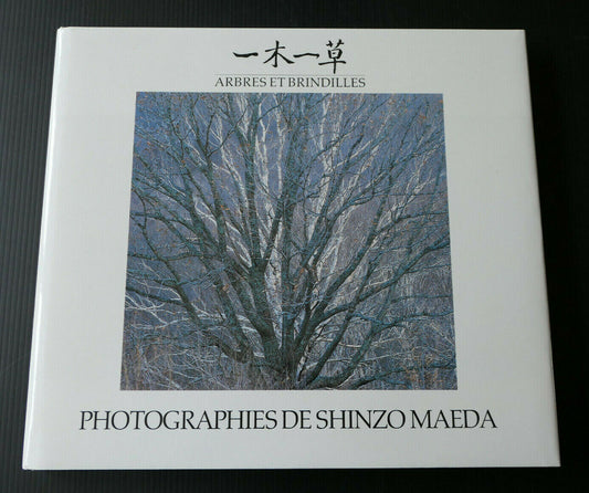 ARBRES ET BRINDILLES / PHOTOGRAPHIES DE SHINZO MAEDA 1987 / PHOTO NATURE