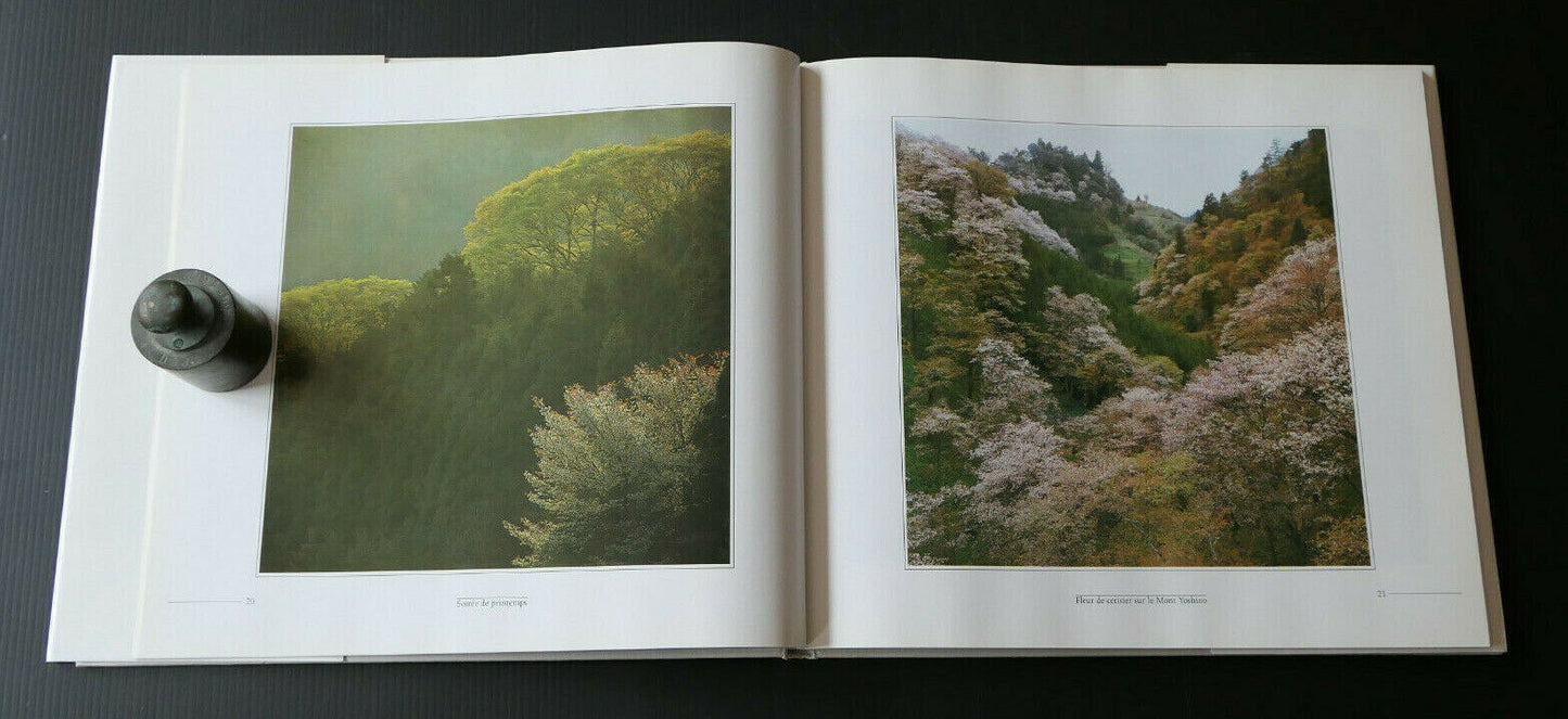 ARBRES ET BRINDILLES / PHOTOGRAPHIES DE SHINZO MAEDA 1987 / PHOTO NATURE