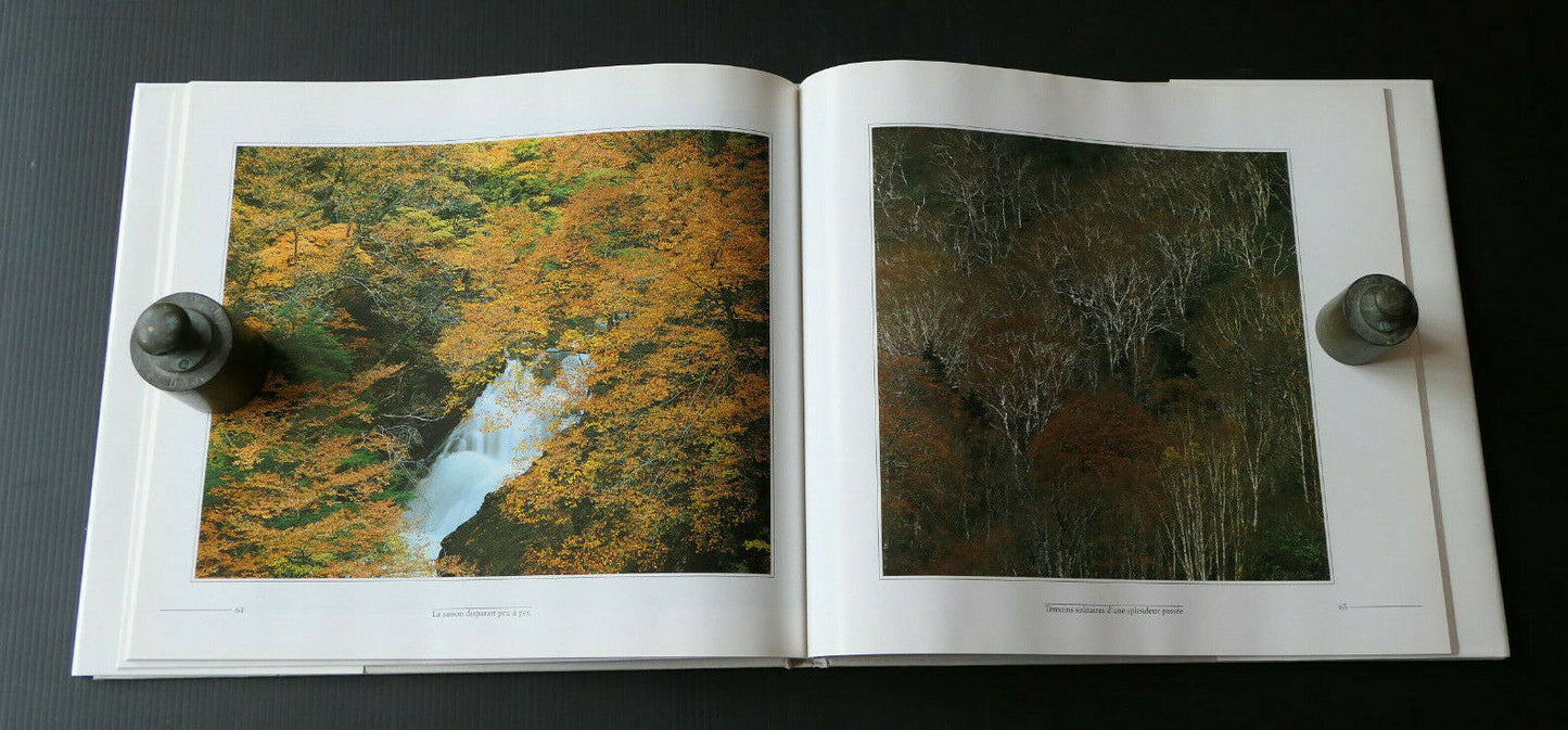 ARBRES ET BRINDILLES / PHOTOGRAPHIES DE SHINZO MAEDA 1987 / PHOTO NATURE
