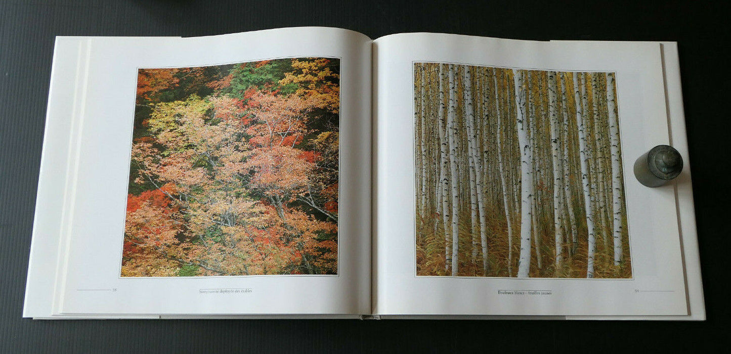ARBRES ET BRINDILLES / PHOTOGRAPHIES DE SHINZO MAEDA 1987 / PHOTO NATURE