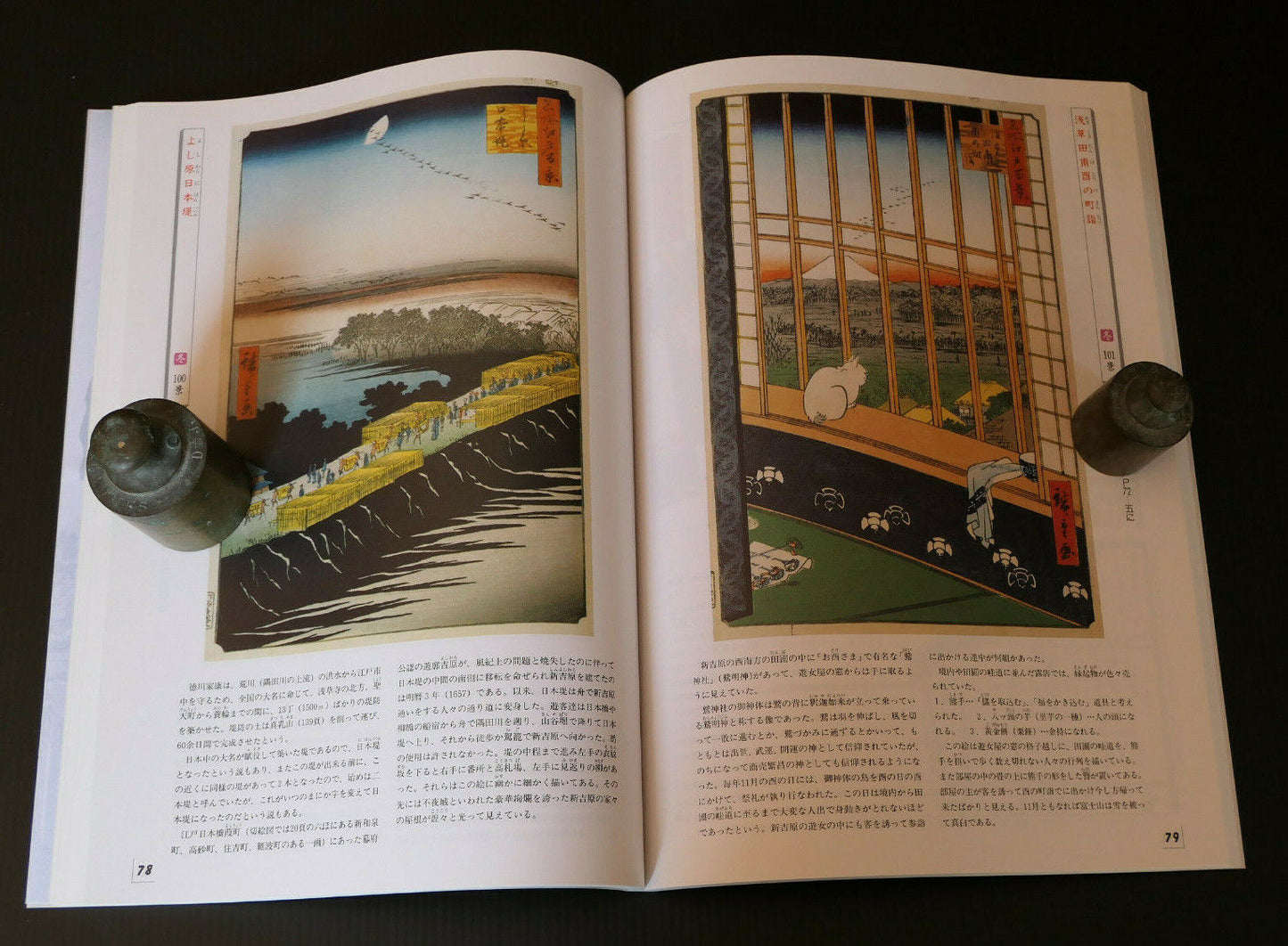 HIROSHIGE CENT VUES CELEBRES D'EDO / EXPOSITION MCJP 2005 / ART JAPON EDO TOKYO