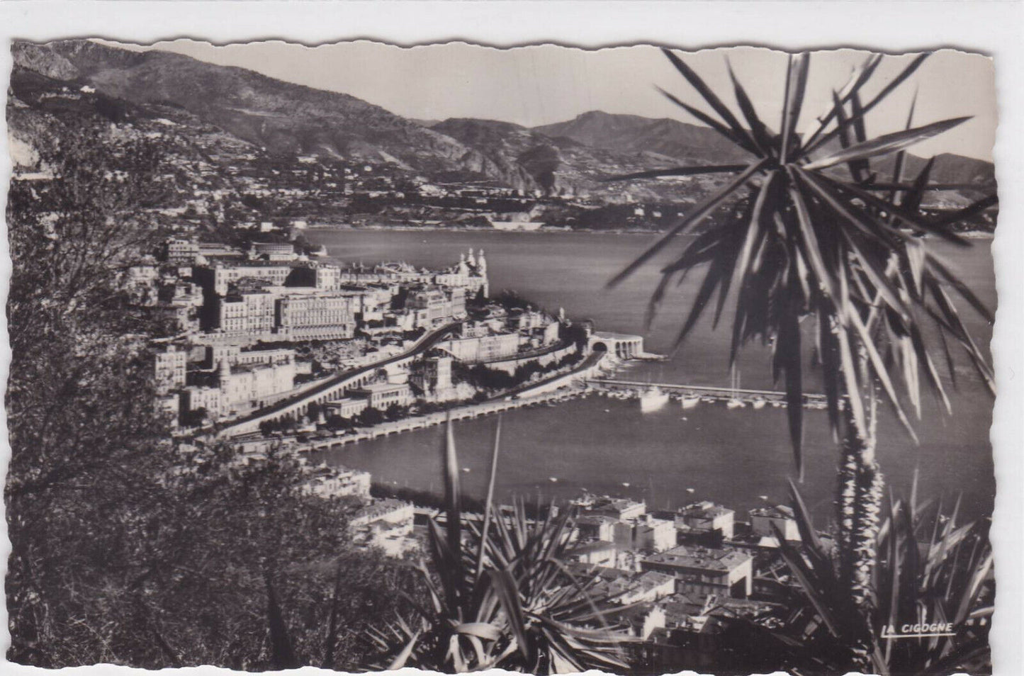CARTE POSTALE NOIR & BLANC CPSM MONTE-CARLO VUE GENERALE