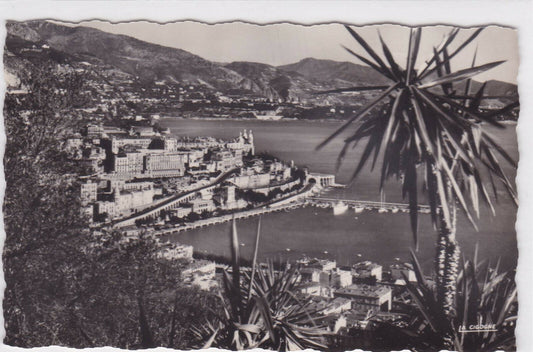 CARTE POSTALE NOIR & BLANC CPSM MONTE-CARLO VUE GENERALE