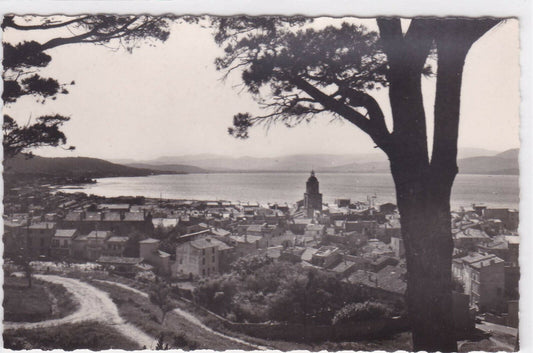 CARTE POSTALE NOIR & BLANC CPSM SAINT-TROPEZ LA VILLE ET LE GOLFE