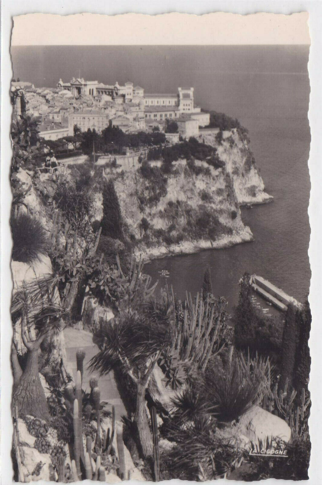 CARTE POSTALE NOIR & BLANC CPSM PRINCIPAUTE DE MONACO LE ROCHER JARDIN EXOTIQUE