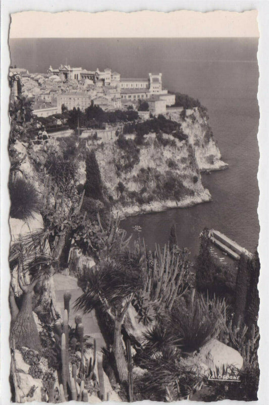 CARTE POSTALE NOIR & BLANC CPSM PRINCIPAUTE DE MONACO LE ROCHER JARDIN EXOTIQUE
