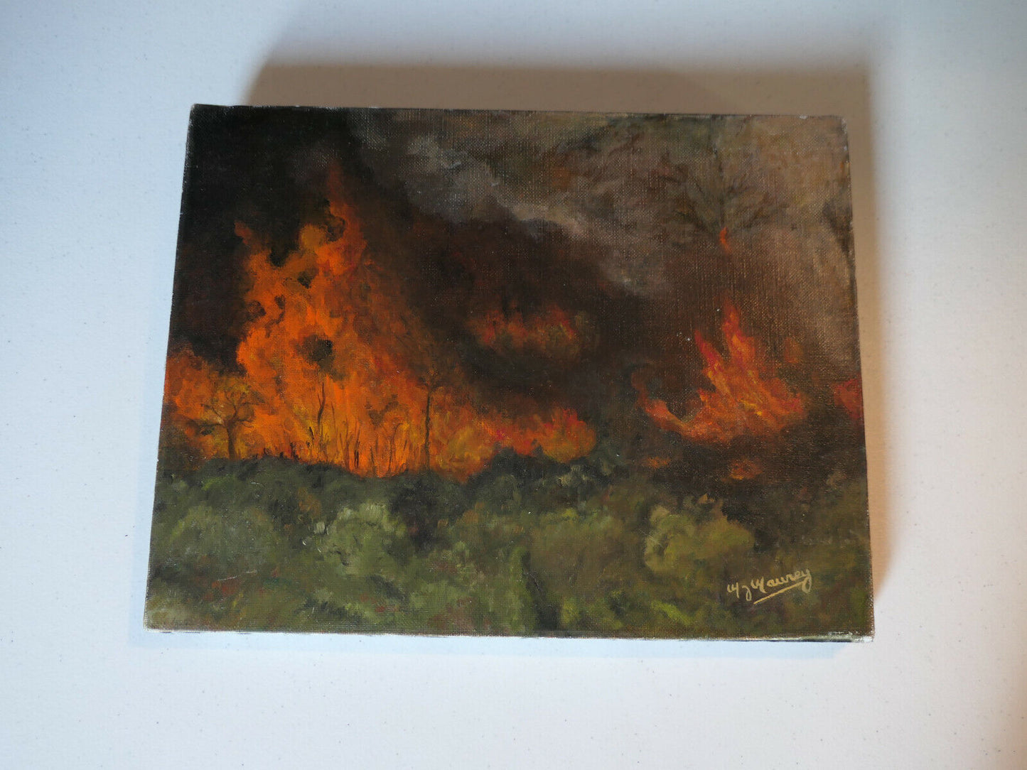 PEINTURE HST FEU DE FORET NATURE FOREST FIRE CATASTROPHIC ORIGINAL ART SIGNED