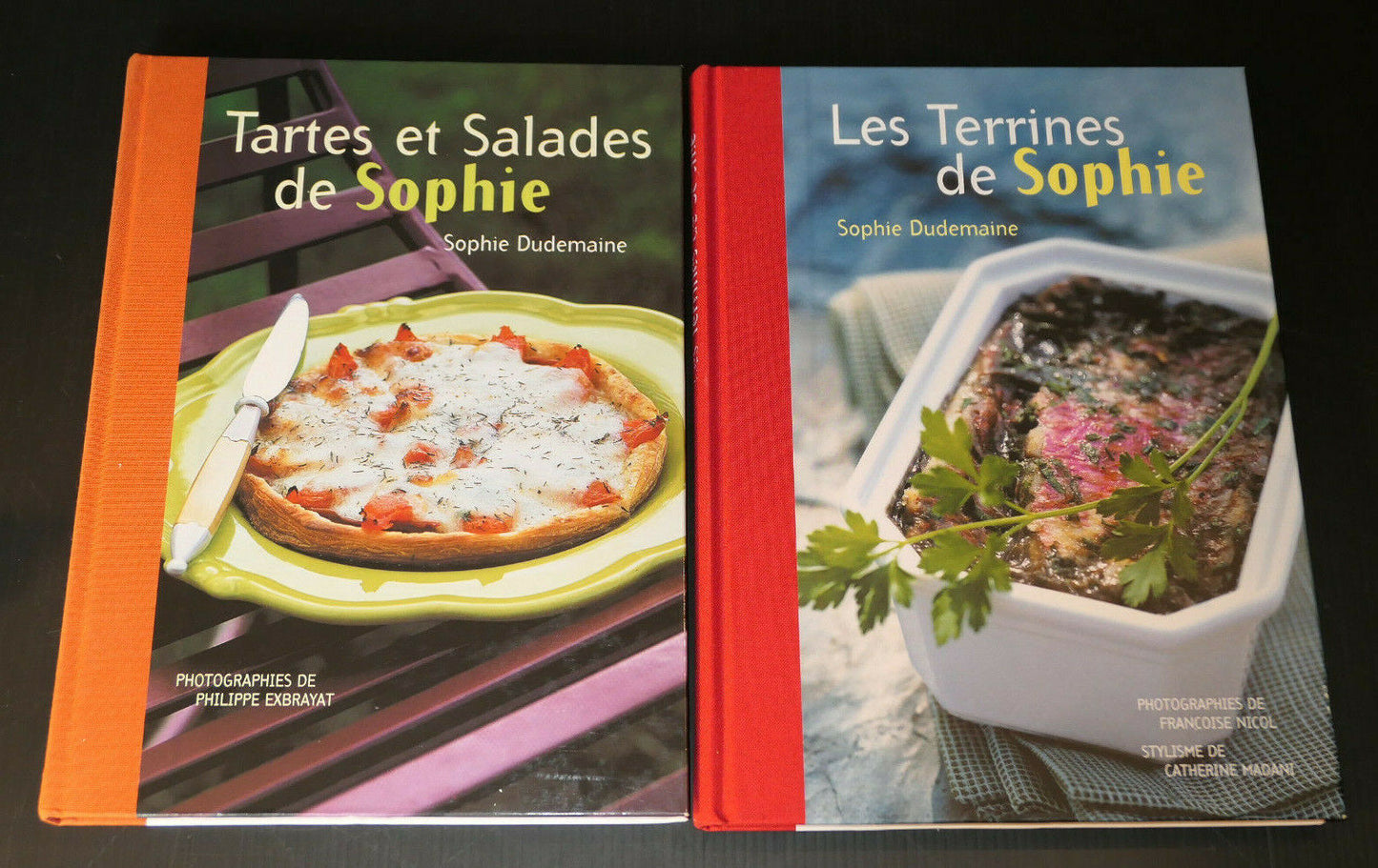 LOT DE 2 LIVRES / TERRINES TARTES SALADES RECETTES CUISINE / SOPHIE DUDEMAINE
