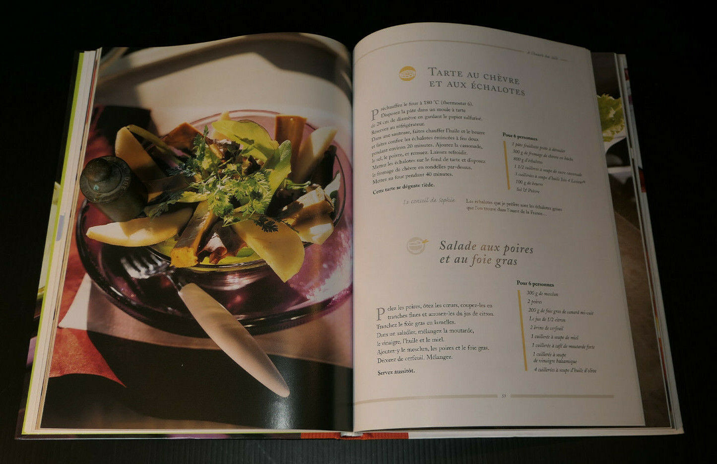 LOT DE 2 LIVRES / TERRINES TARTES SALADES RECETTES CUISINE / SOPHIE DUDEMAINE