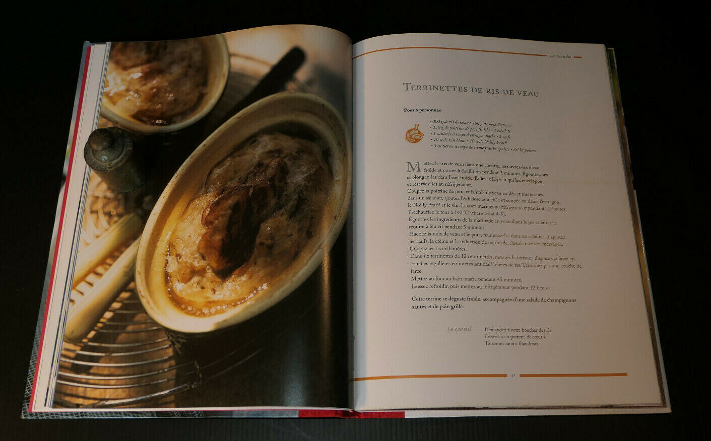 LOT DE 2 LIVRES / TERRINES TARTES SALADES RECETTES CUISINE / SOPHIE DUDEMAINE