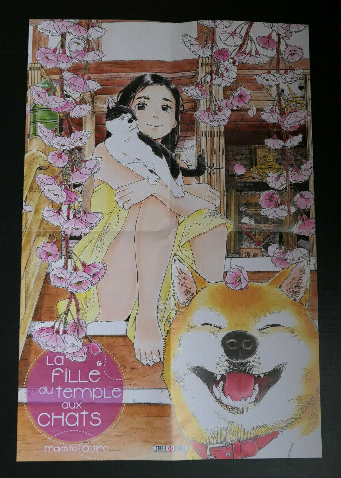 AFFICHE POSTER PROMO MANGA MERMAID PRINCE / LA FILLE DU TEMPLE AUX CHATS / 2016