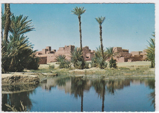 CPSM CARTE POSTALE COULEUR LE MAROC PITTORESQUE DANS L'OASIS DE ZAGORA