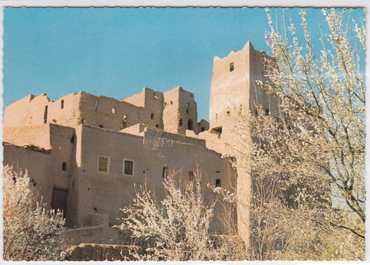 CARTE POSTALE COULEUR CPSM LE MAROC PITTORESQUE CASBAH DU SUD AU PRINTEMPS