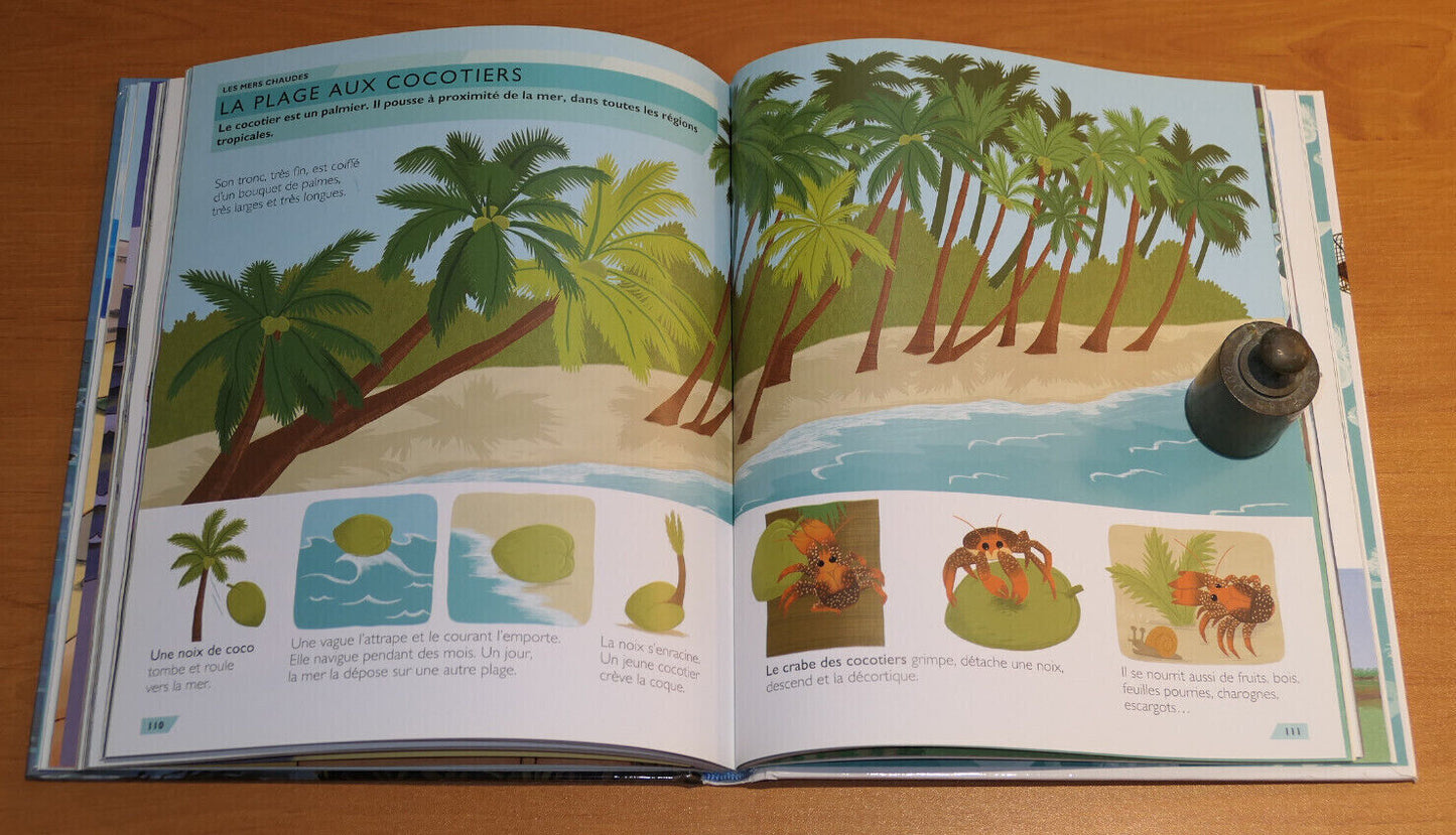 MON PREMIER LAROUSSE A LA MER / 2007 / PLAGE VACANCES VOYAGE