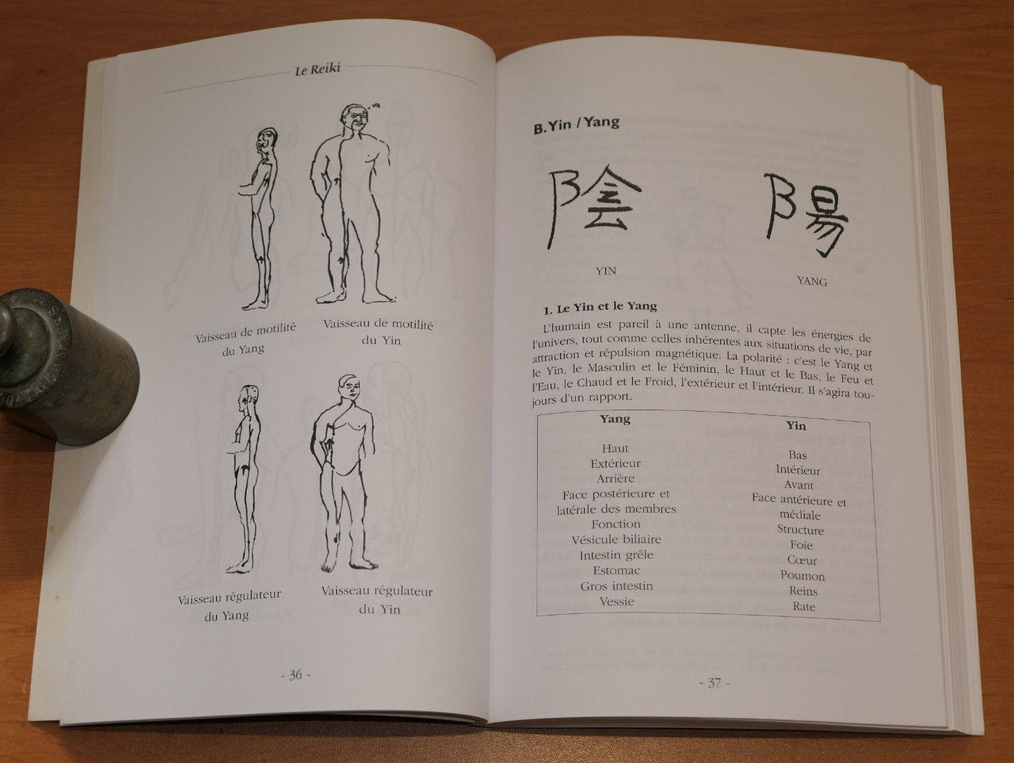 REIKI SANTE LONGEVITE / MICHEL BRUNET / ENERGIE MAGNETISME THERAPIE QI / 2004