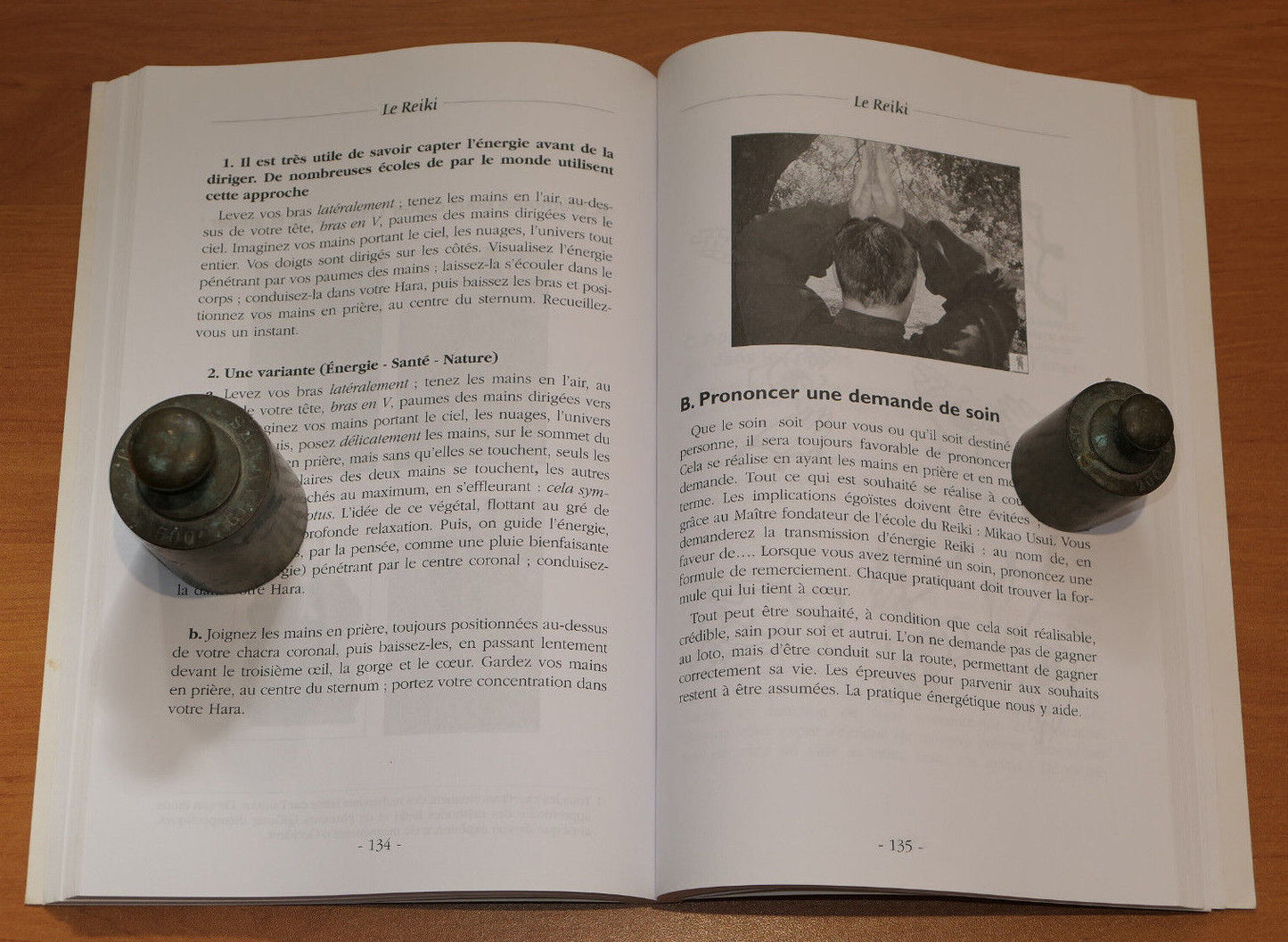 REIKI SANTE LONGEVITE / MICHEL BRUNET / ENERGIE MAGNETISME THERAPIE QI / 2004