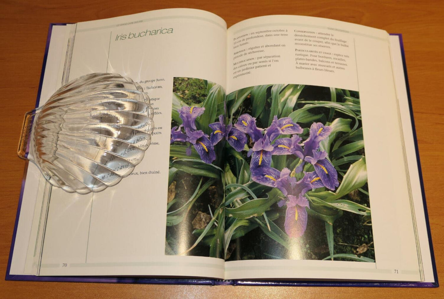 LE GRAND LIVRE DES IRIS / FLEURS ESPECES CULTURE JARDIN PHOTOS / 2006