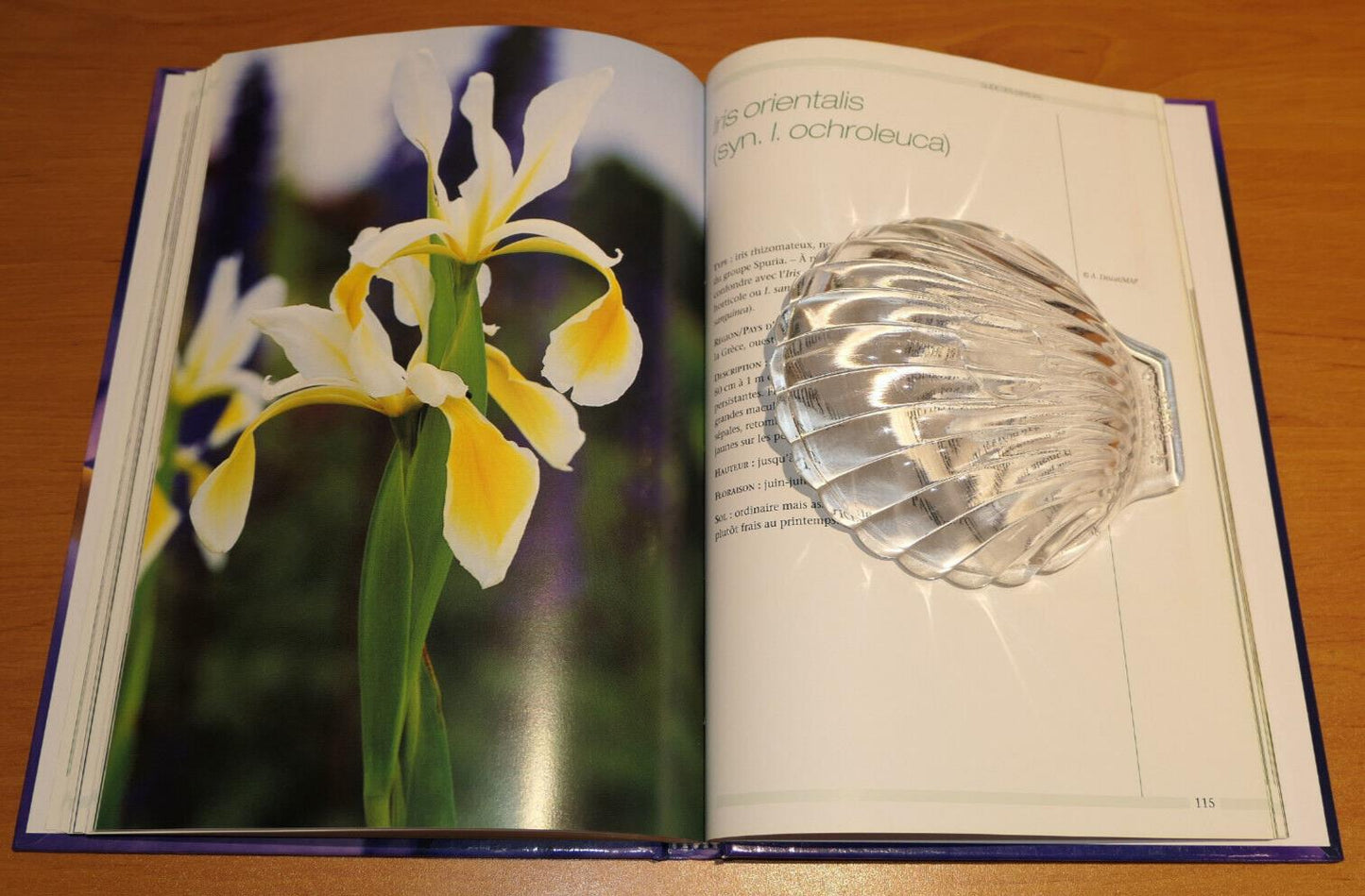 LE GRAND LIVRE DES IRIS / FLEURS ESPECES CULTURE JARDIN PHOTOS / 2006