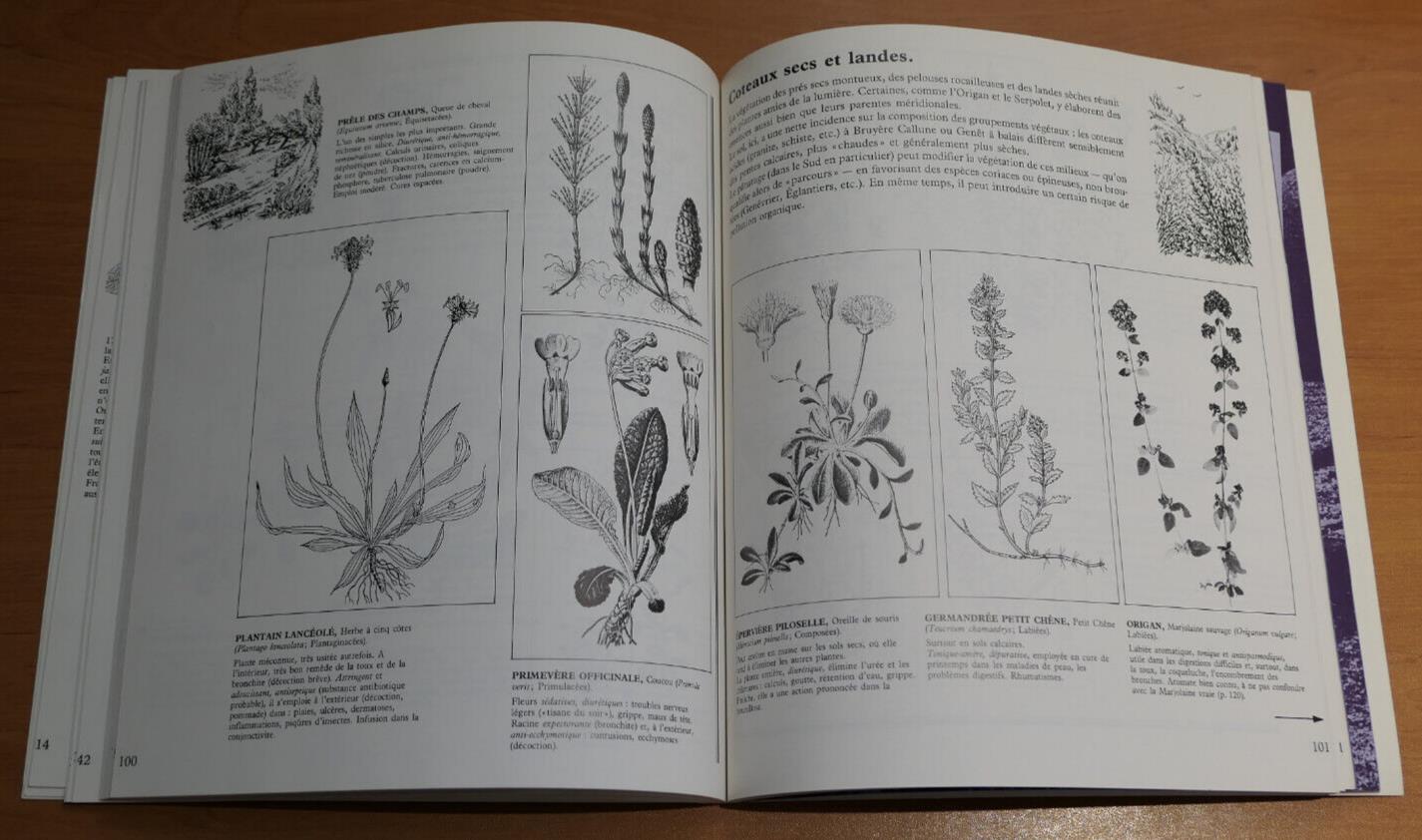 LES SIMPLES ENTRE NATURE ET SOCIETE HISTOIRE DES PLANTES MEDICINALES FRANCAISES