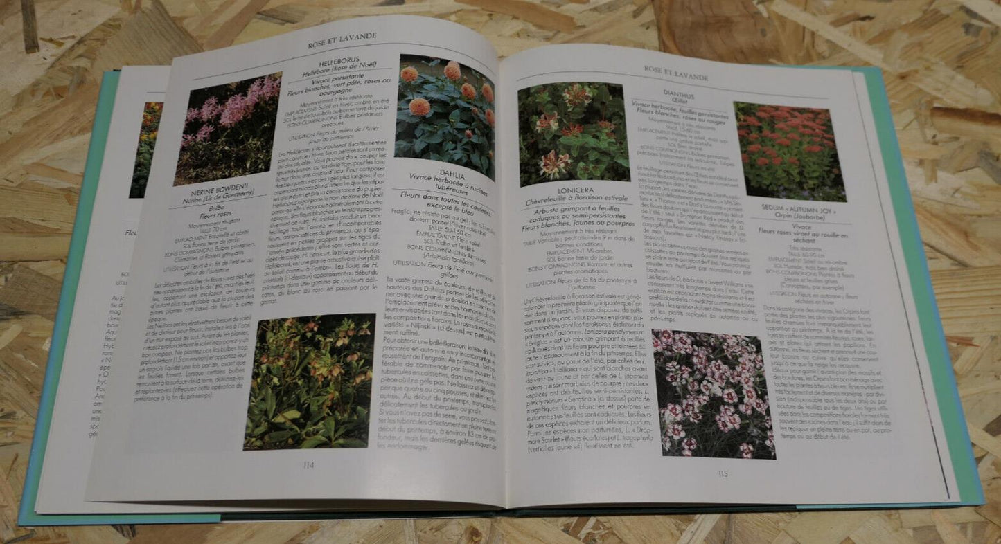 LES BOUQUETS DU JARDIN / ROSEMARY VEREY / HATIER 1991 / FLEURS ARBUSTES NATURE
