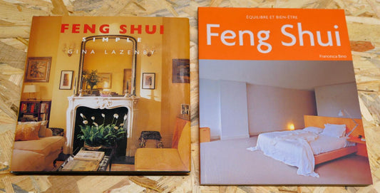 FENG SHUI SIMPLE / EQUILIBRE BIEN-ETRE HARMONIE HABITATION DECORATION