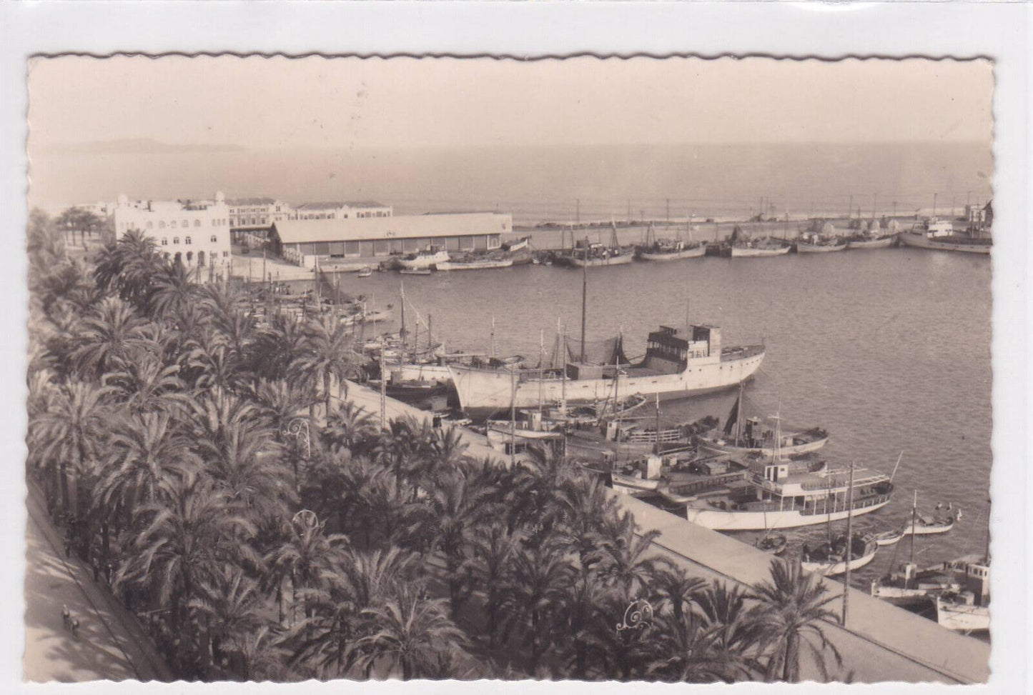 POSTCARD CPSM ALICANTE EXPLANADA DE ESPANA Y PUERTO 
