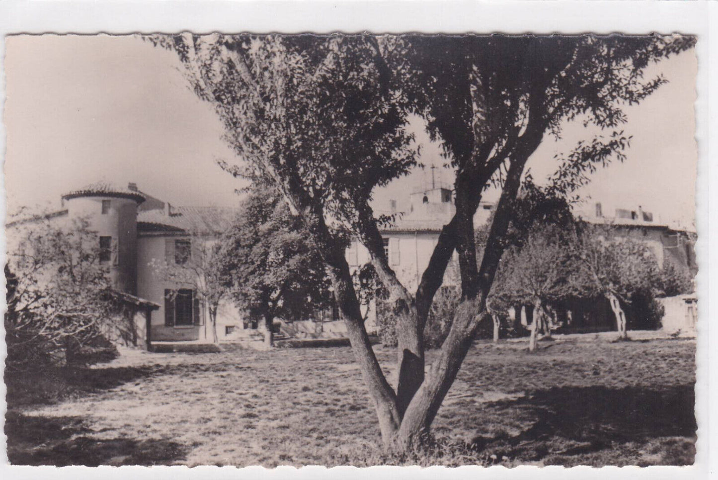 OLD POSTCARD CPA LE CHATEAU PEYNIER 