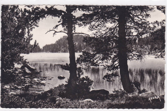 POSTCARD CPSM MONT-LOUIS THE BLACK POND NEAR LES BOUILLOUSES 