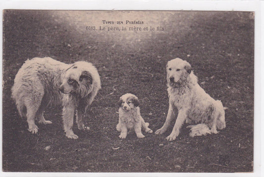 CARTE POSTALE ANCIENNE TYPES DES PYRENEES LE PERE LA MERE LE FILS CHIENS ANIMAUX