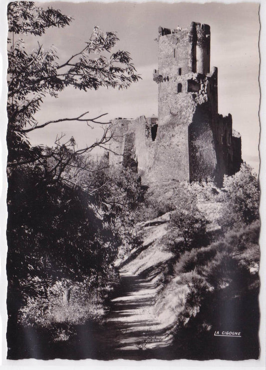 CARTE POSTALE CPSM ENVIRONS DE CHATELGUYON CHATEAU DE TOURNOEL