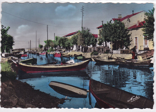 CARTE POSTALE CPSM PALAVAS-LES-FLOTS LA CANALETTE EFFET D'OMBRE ET DE LUMIERE